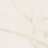 ELIANE Calacatta Ouro AC 120x120