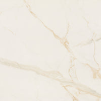 ELIANE Calacatta Ouro AC 120x120