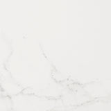 PORCELANOSA Carrara Blanco Brillo 59,6x59,6